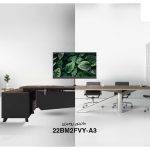 مانیتور میوا مدل 22BM2FVY-A3 سایز 22 اینچ